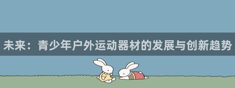 征途国际软件：未来：青少年户外运动器材的发展与创新趋势
