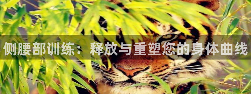 征途国际平台注册要钱吗是真的吗：侧腰部训练：释放与重塑您的身