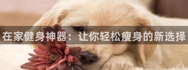 征途国际平台是正规平台吗：在家健身神器：让你轻松瘦身的新选择