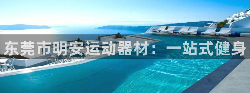 征途国际软件
