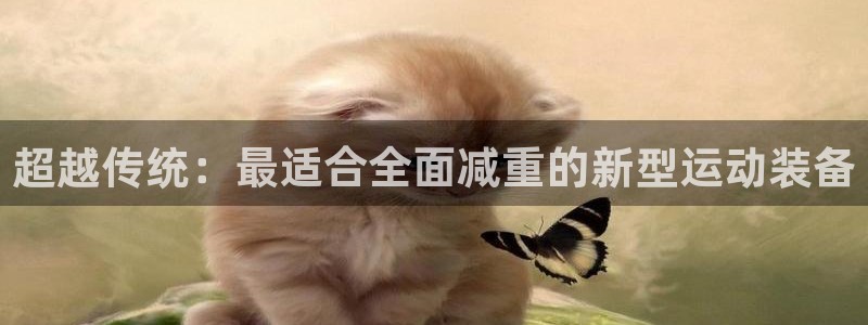征途国际招商电话：超越传统：最适合全面减重的新型运动装备