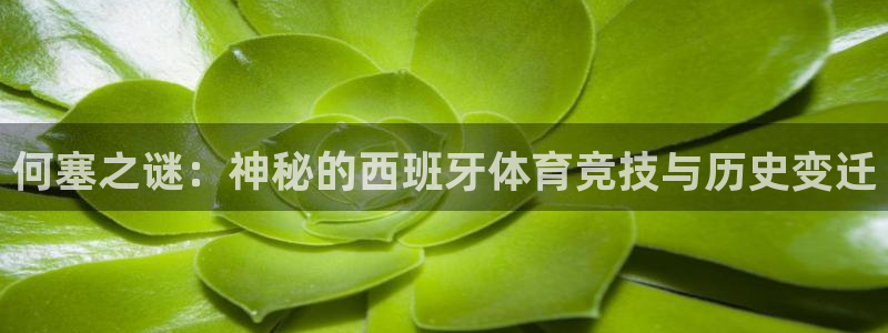 征途国际官方：何塞之谜：神秘的西班牙体育竞技与历史变迁