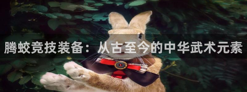 征途国际科技：腾蛟竞技装备：从古至今的中华武术元素