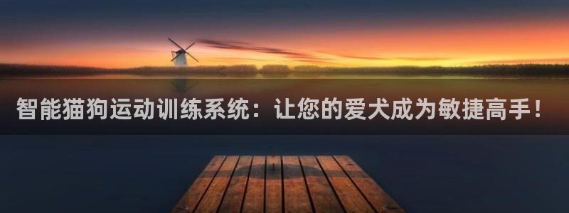 征途国际招商电话地址查询：智能猫狗运动训练系统：让您的爱犬成