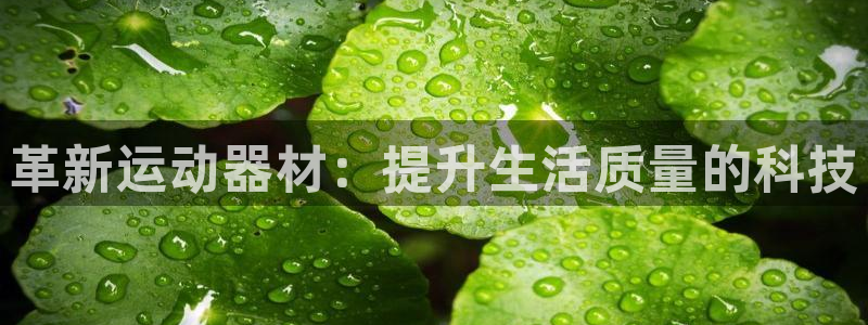 征途国际科技