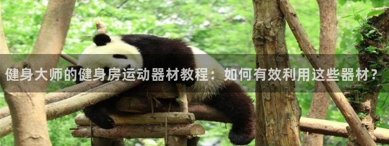 征途国际娱乐下载：健身大师的健身房运动器材教程：如何