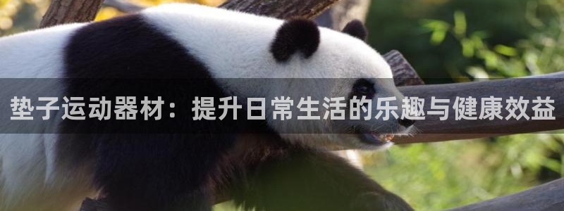 征途国际开户：垫子运动器材：提升日常生活的乐趣与健康效益