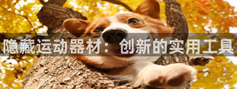 征途国际注册：隐藏运动器材：创新的实用工具