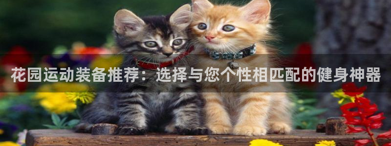 征途国际官网：花园运动装备推荐：选择与您个性相匹配的