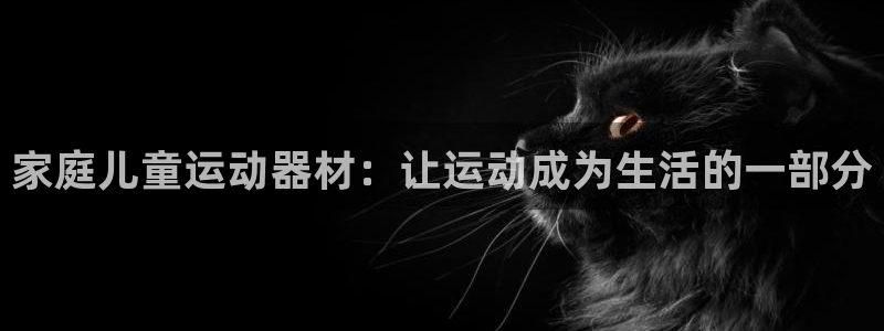 征途国际平台是正规平台吗知乎：家庭儿童运动器材：让运动成为生