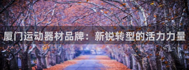 征途国际是干嘛的公司：厦门运动器材品牌：新锐转型的活力力量