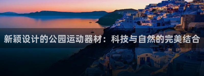 征途国际招商电话号码是多少：新颖设计的公园运动器材：科技与自