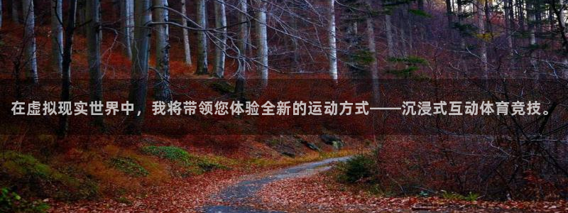 征途国际科技
