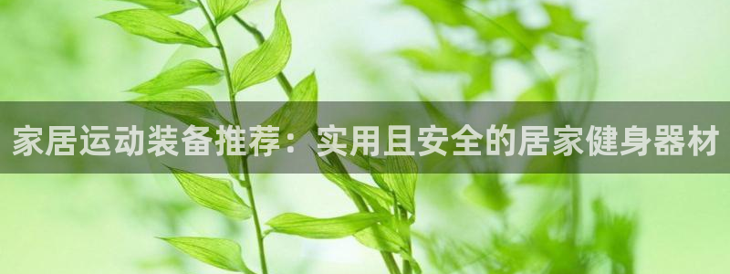 征途国际平台体育