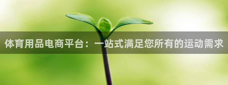 注册征途国际：体育用品电商平台：一站式满足您所有的运动需求